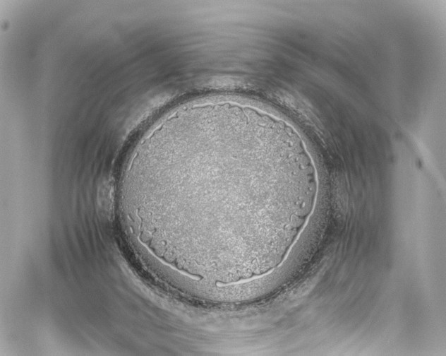 X0000059830016200510241432