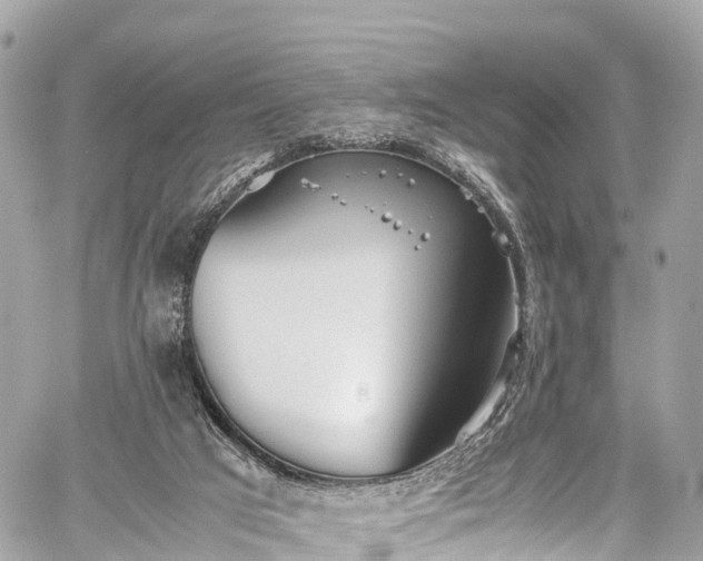 X0000059830017200510241432