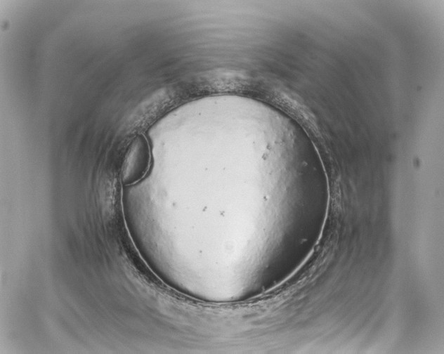 X0000059830018200510241432