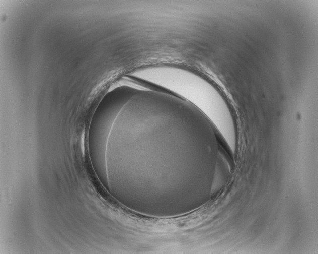 X0000059830019200510241432