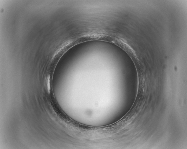 X0000059830020200510241432