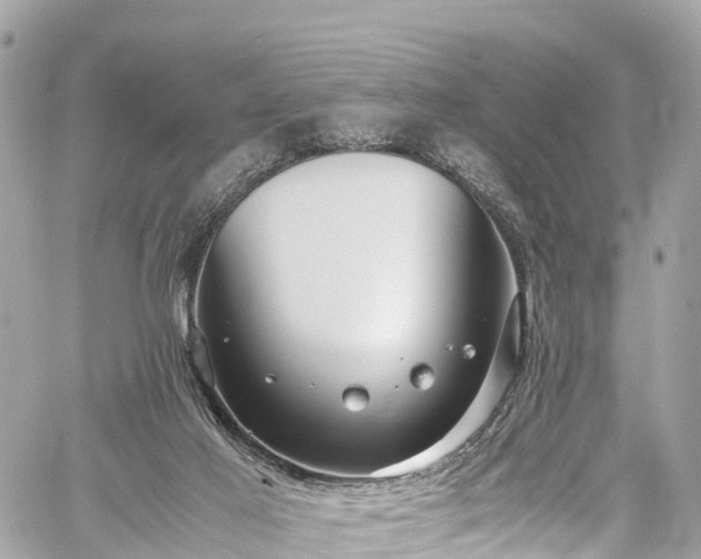 X0000059830021200510241432