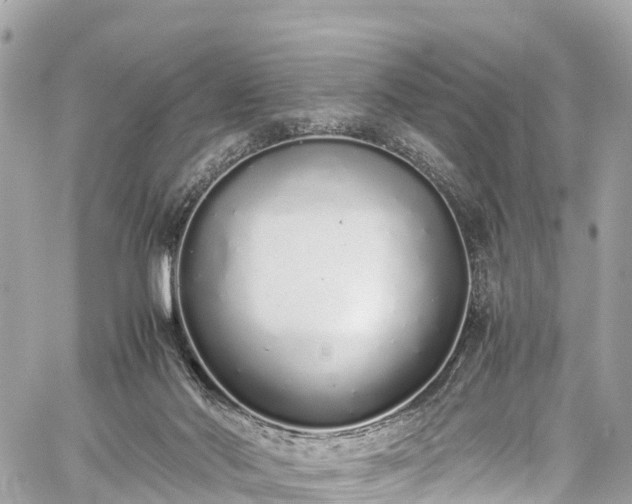 X0000059830022200510241432