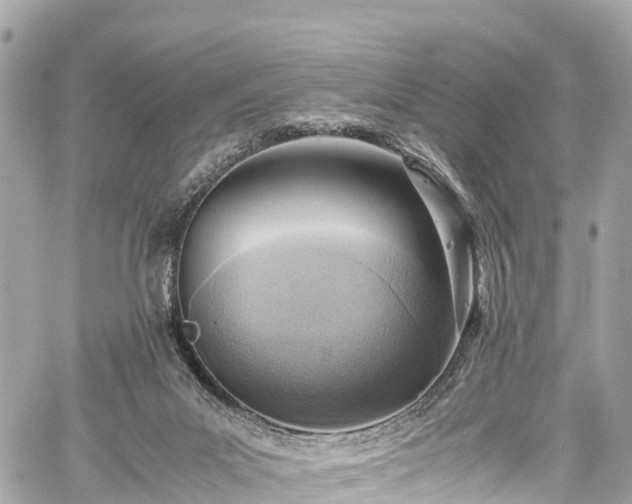 X0000059830023200510241432