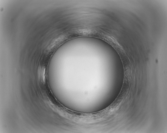 X0000059830024200510241432