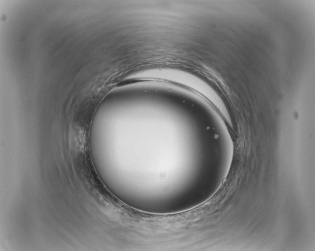 X0000059830025200510241432