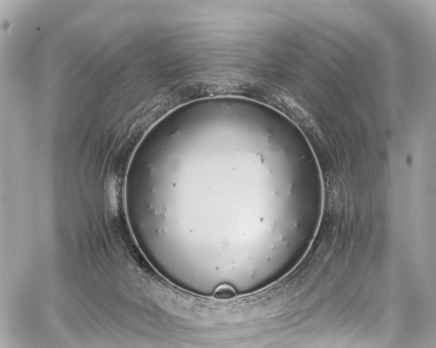 X0000059830026200510241432