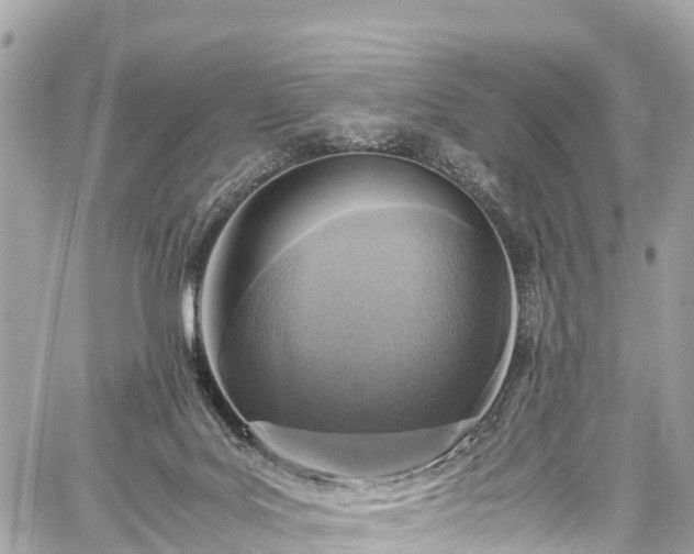 X0000059830027200510241432