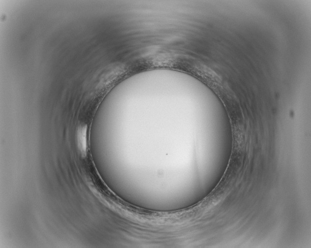 X0000059830028200510241432