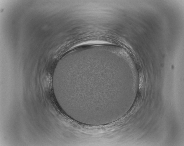 X0000059830029200510241432