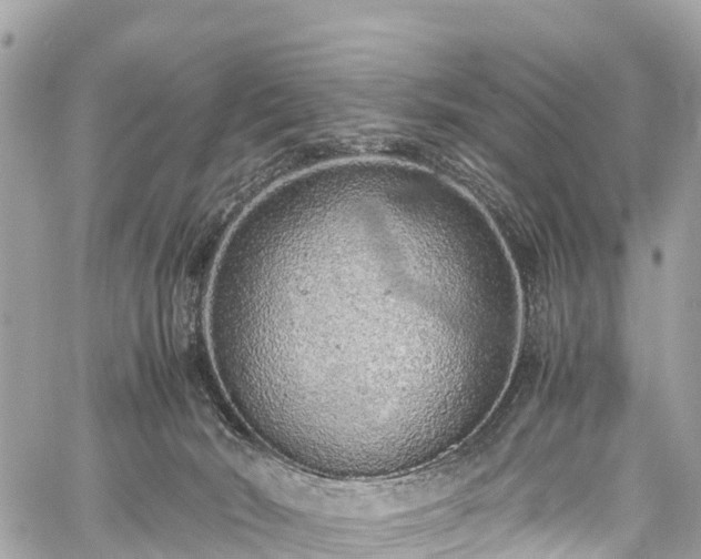 X0000059830030200510241432