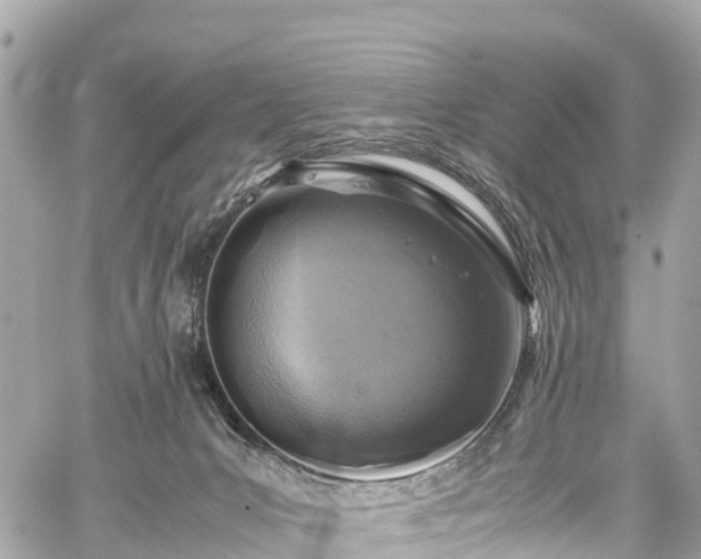 X0000059830031200510241432