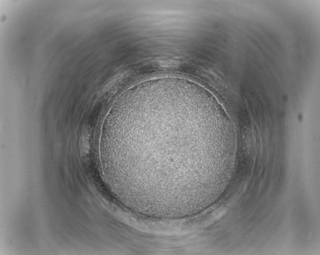 X0000059830032200510241432