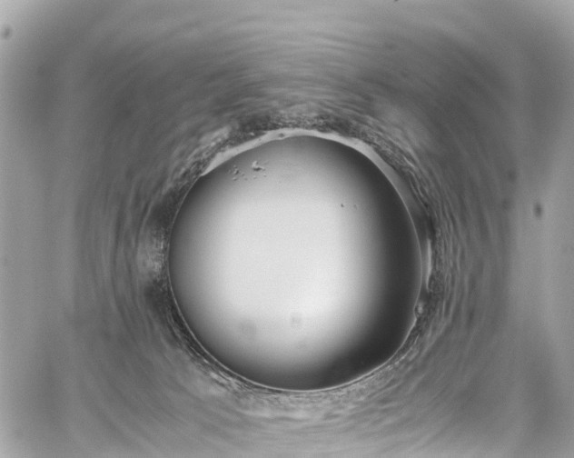 X0000059830033200510241432