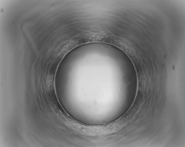 X0000059830034200510241432