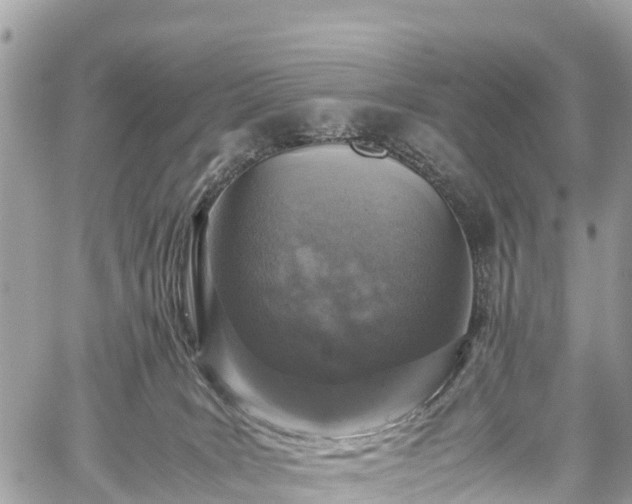 X0000059830035200510241432