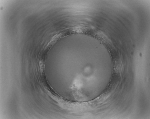 X0000059830036200510241432