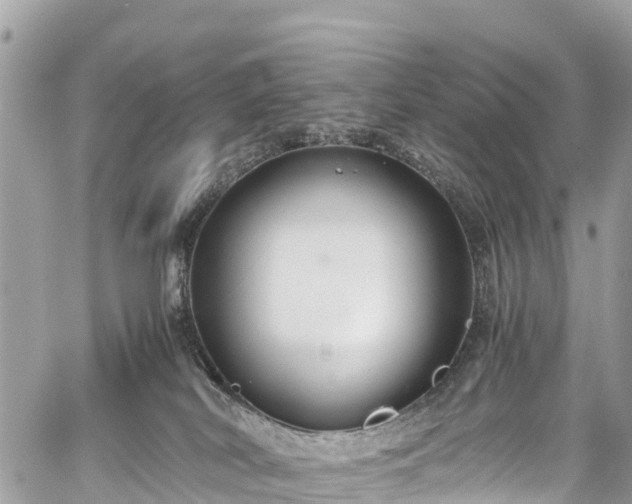 X0000059830038200510241432