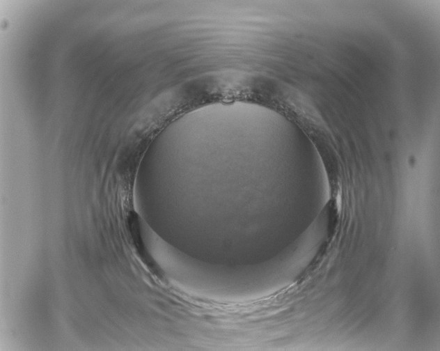 X0000059830039200510241432