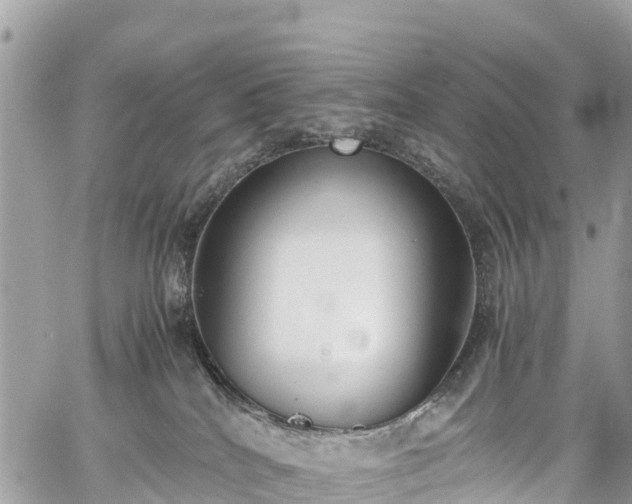 X0000059830040200510241432