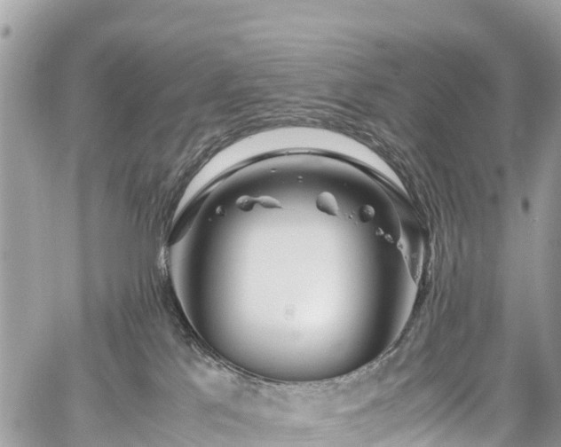 X0000059830041200510241432