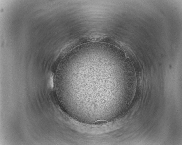 X0000059830042200510241432