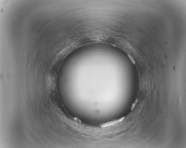 X0000059830043200510241432