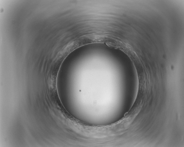 X0000059830044200510241432