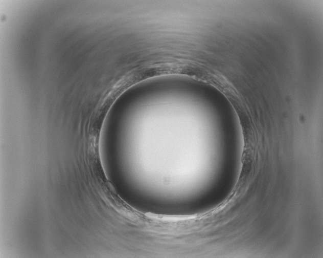 X0000059830045200510241432