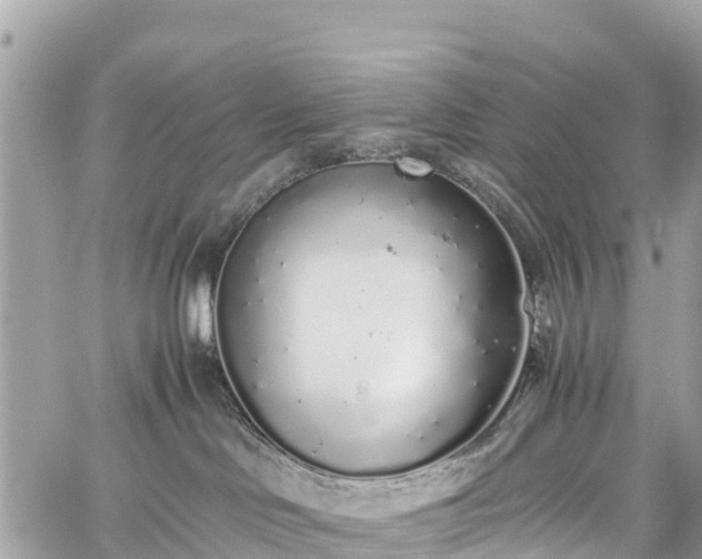 X0000059830046200510241432