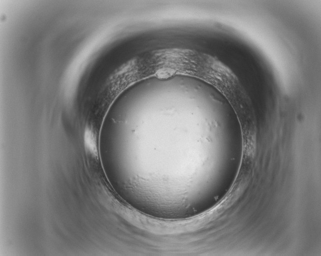 X0000059830047200510241432