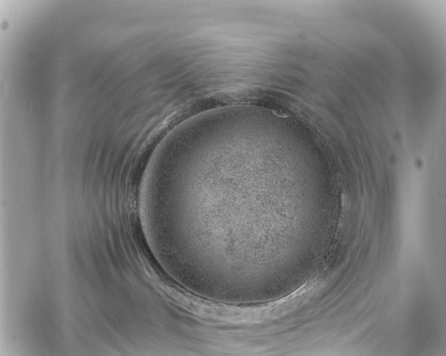 X0000059830048200510241432