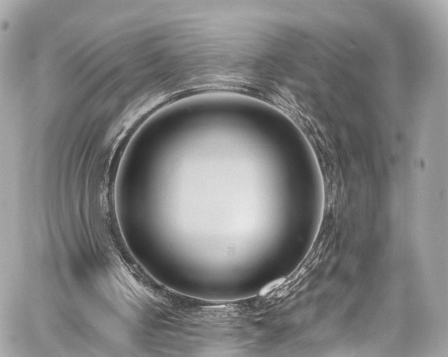 X0000059830050200510241431