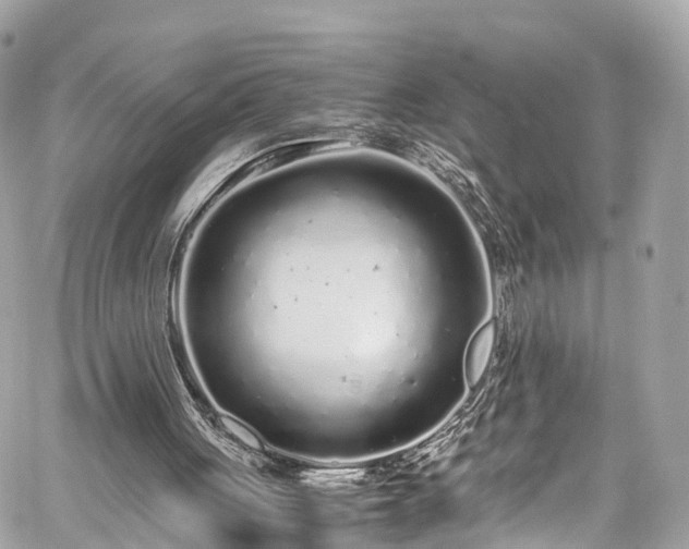 X0000059830051200510241431