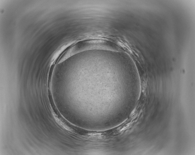 X0000059830052200510241431