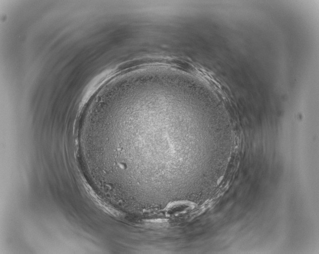 X0000059830053200510241431