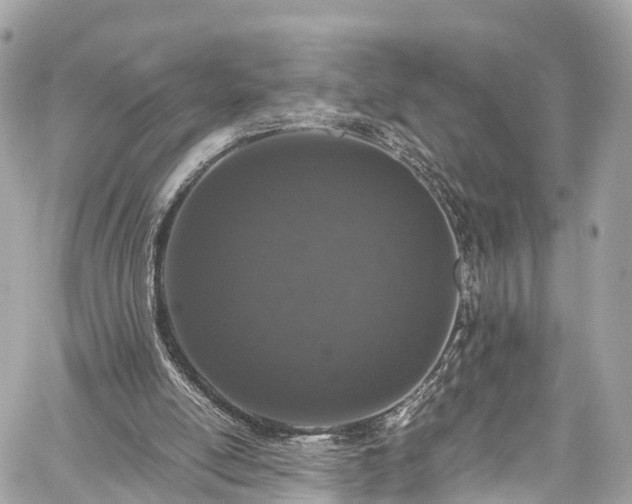 X0000059830054200510241431