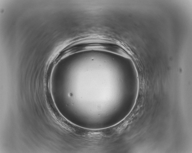 X0000059830055200510241431