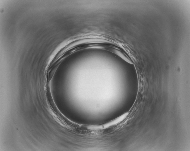 X0000059830056200510241431