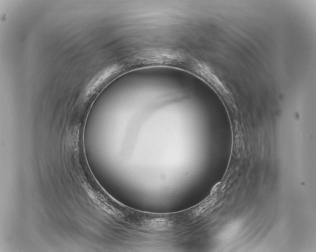 X0000059830058200510241431