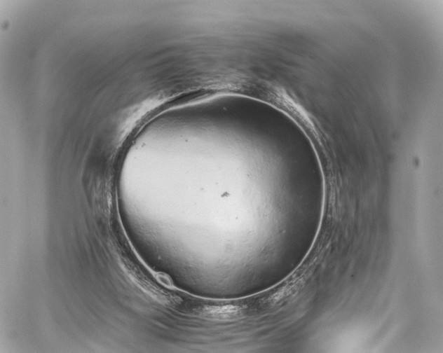 X0000059830059200510241431