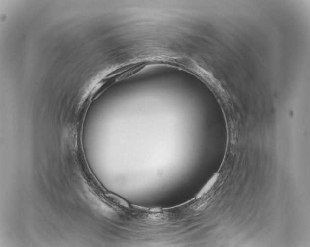 X0000059830060200510241431