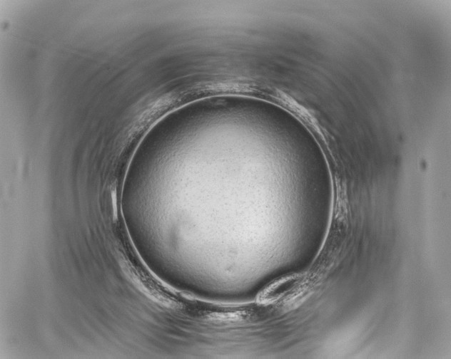 X0000059830061200510241431