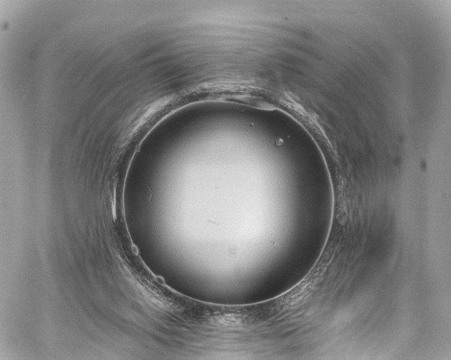 X0000059830062200510241431