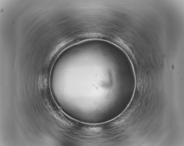 X0000059830063200510241431