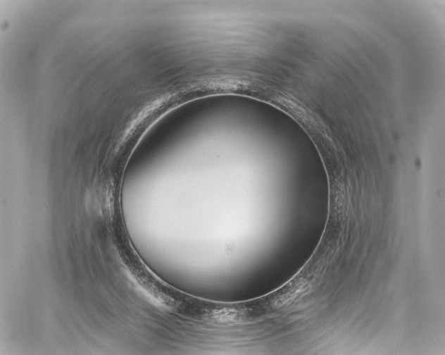 X0000059830064200510241431