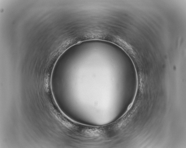 X0000059830065200510241431