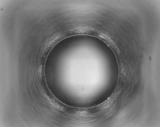 X0000059830066200510241431