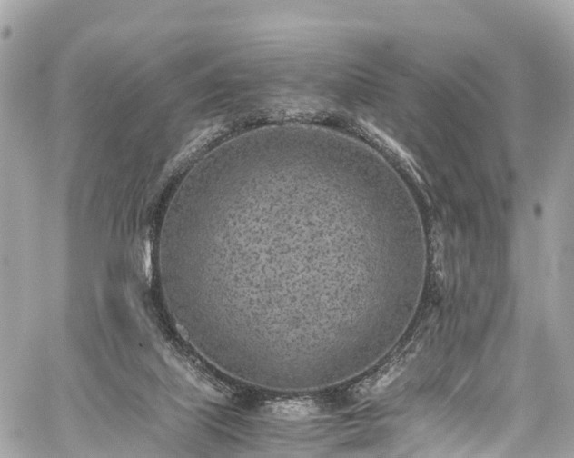 X0000059830067200510241431