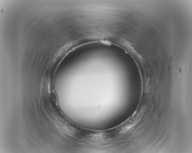 X0000059830068200510241431